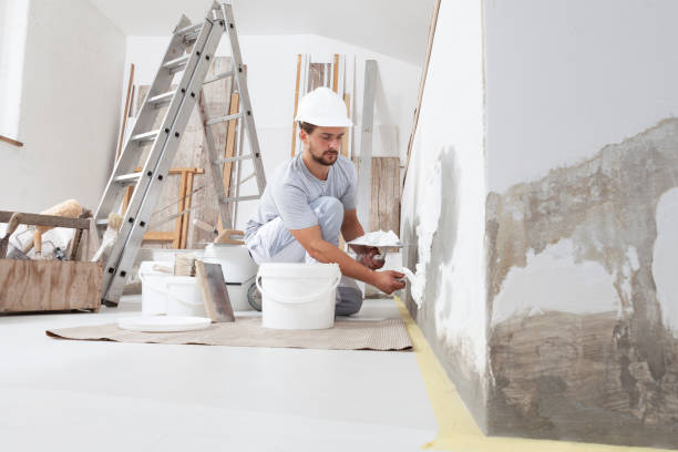 Best Mold Remediation for Rental Properties  in Dry Ridge, OH