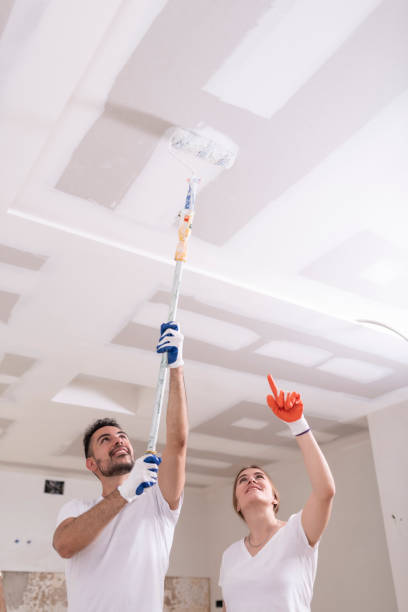 Mold Odor Removal Services in Dry Ridge, OH