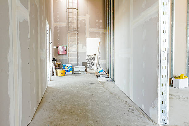 Reliable Dry Ridge, OH Mold Removal Solutions